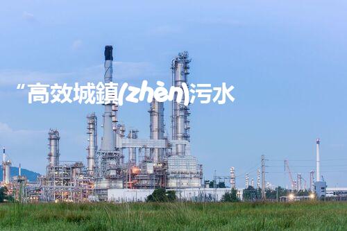 “高效城鎮(zhèn)污水處理流程，守護碧水藍天新篇章”
